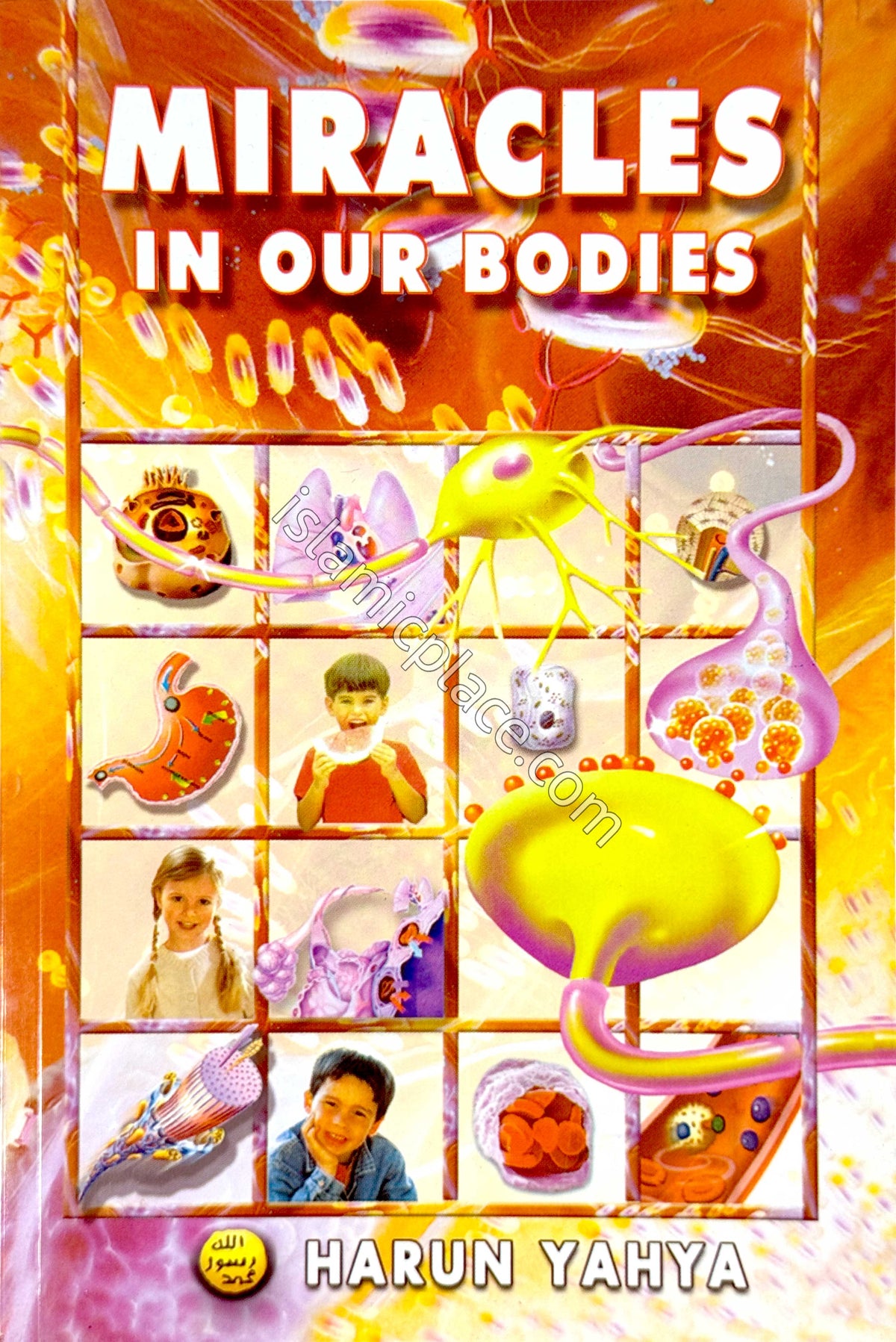 Miracles in our Bodies
