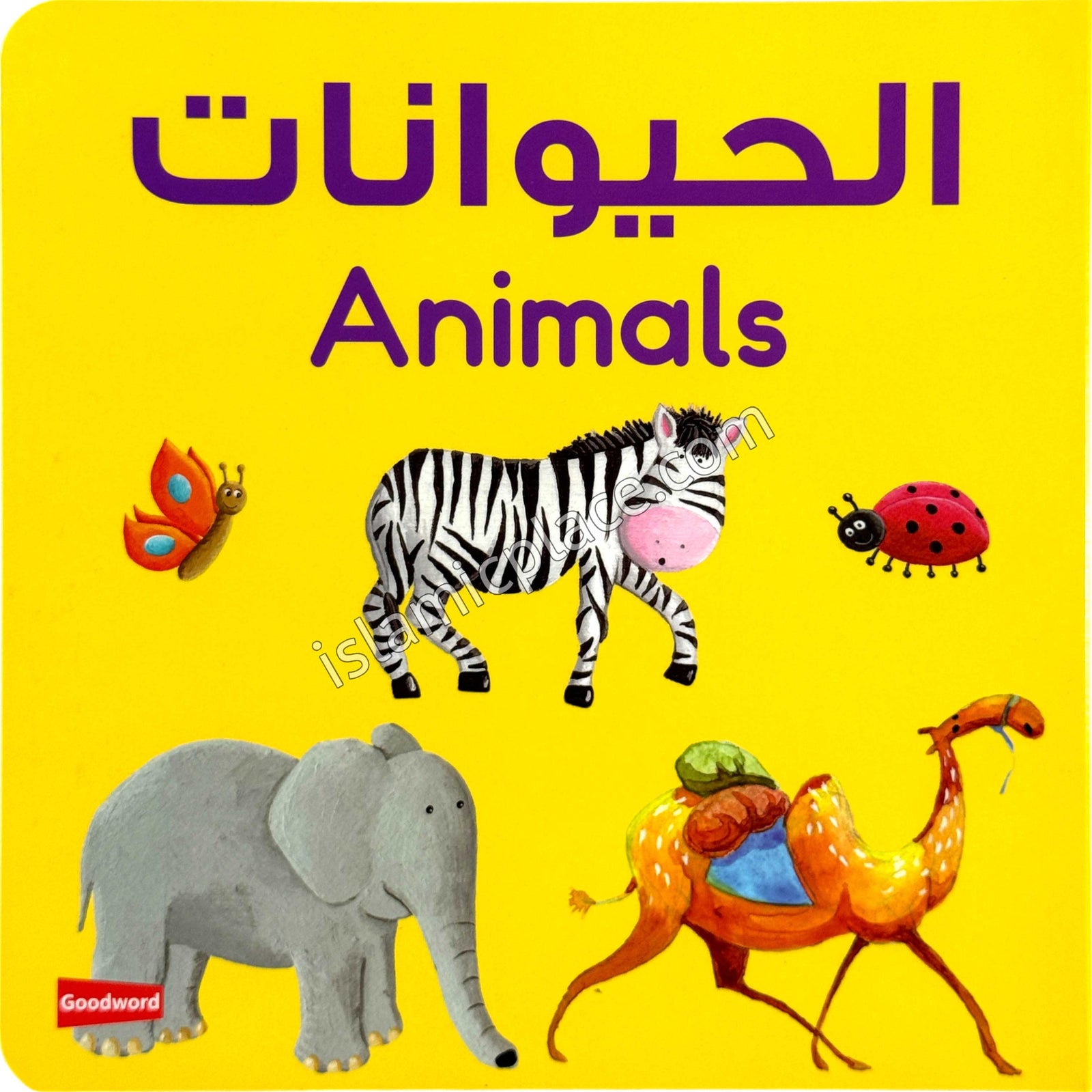 Animals - Board Book