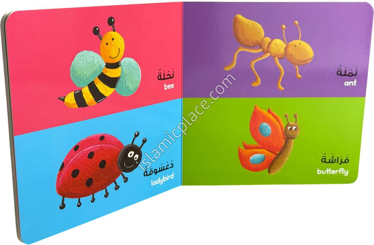 Animals - Board Book