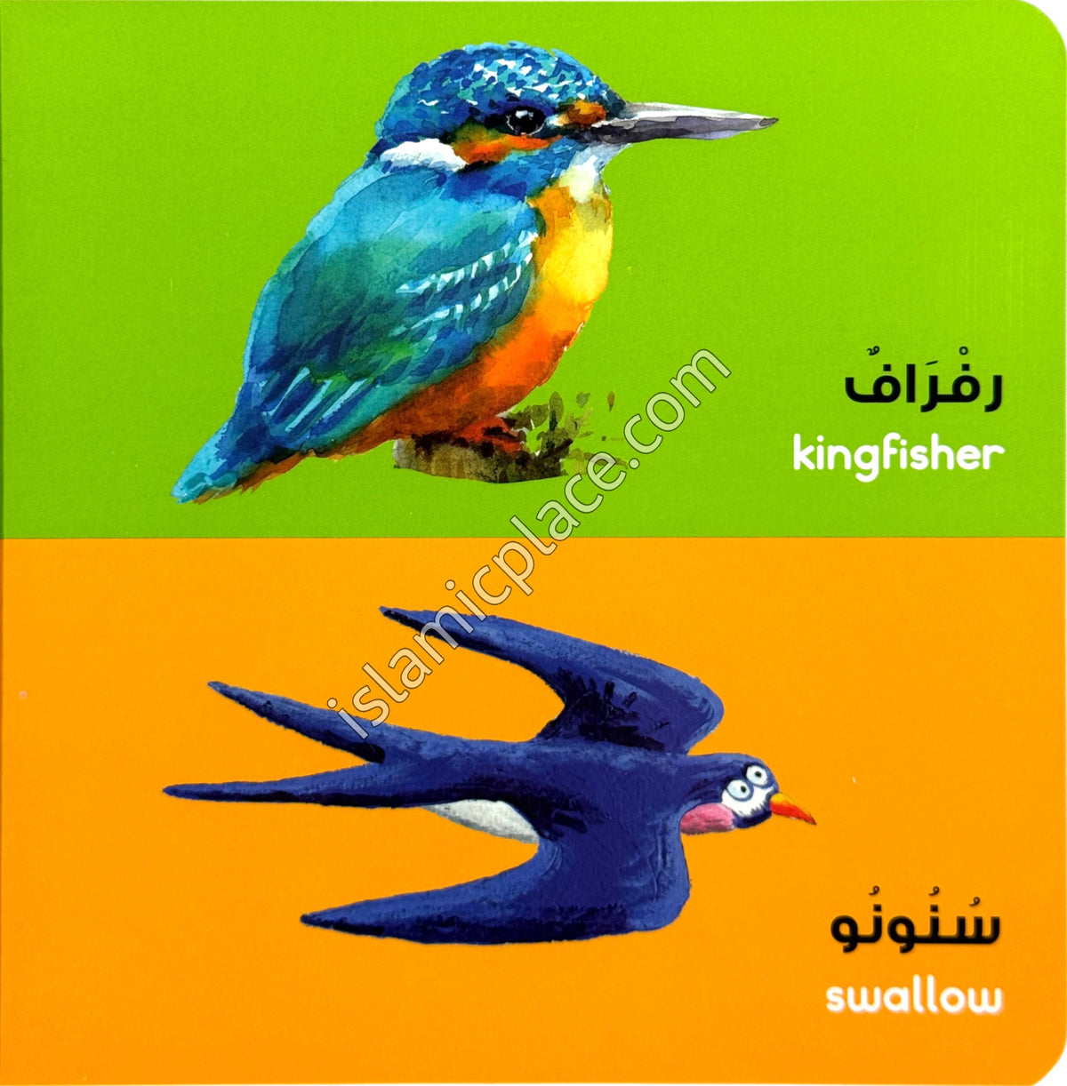 Animals - Board Book