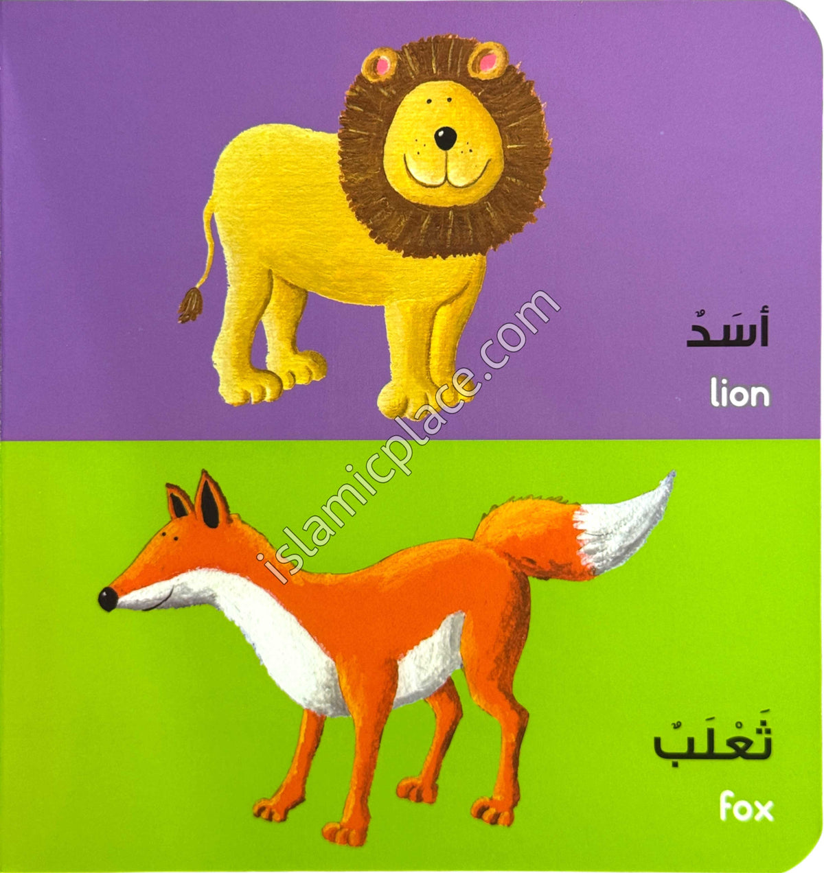 Arabic Words - Board Book