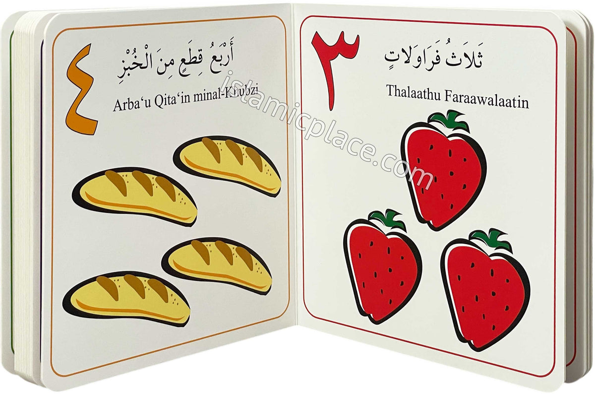 My Arabic Number Book