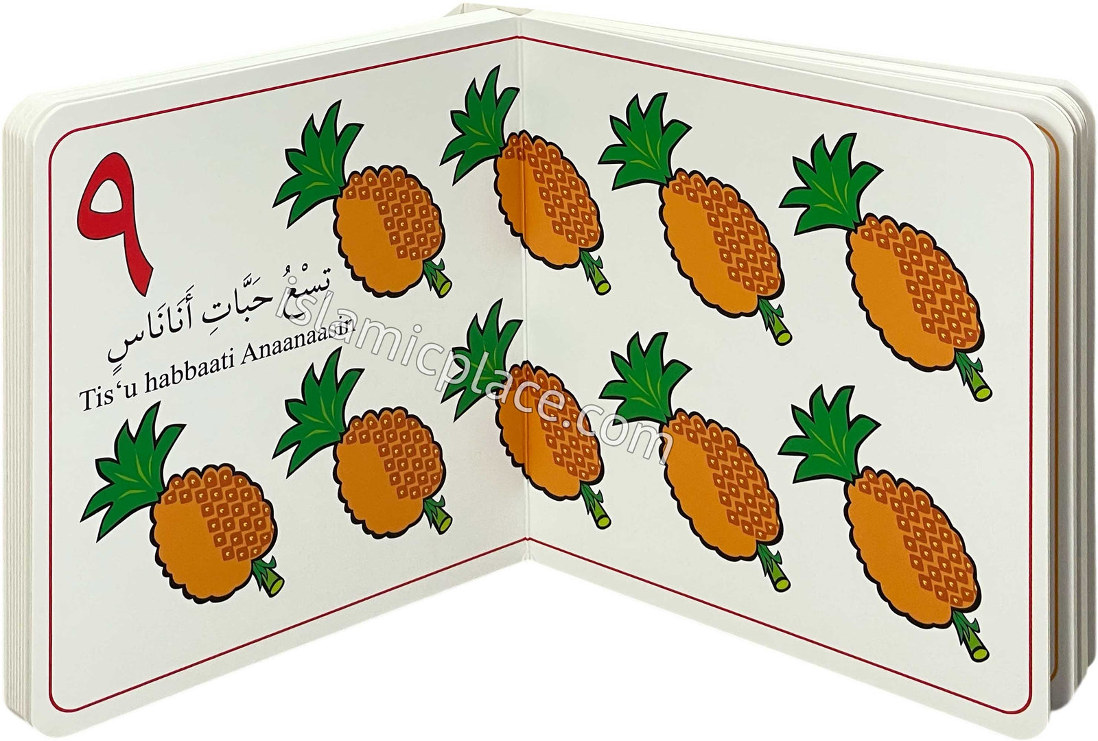 My Arabic Number Book