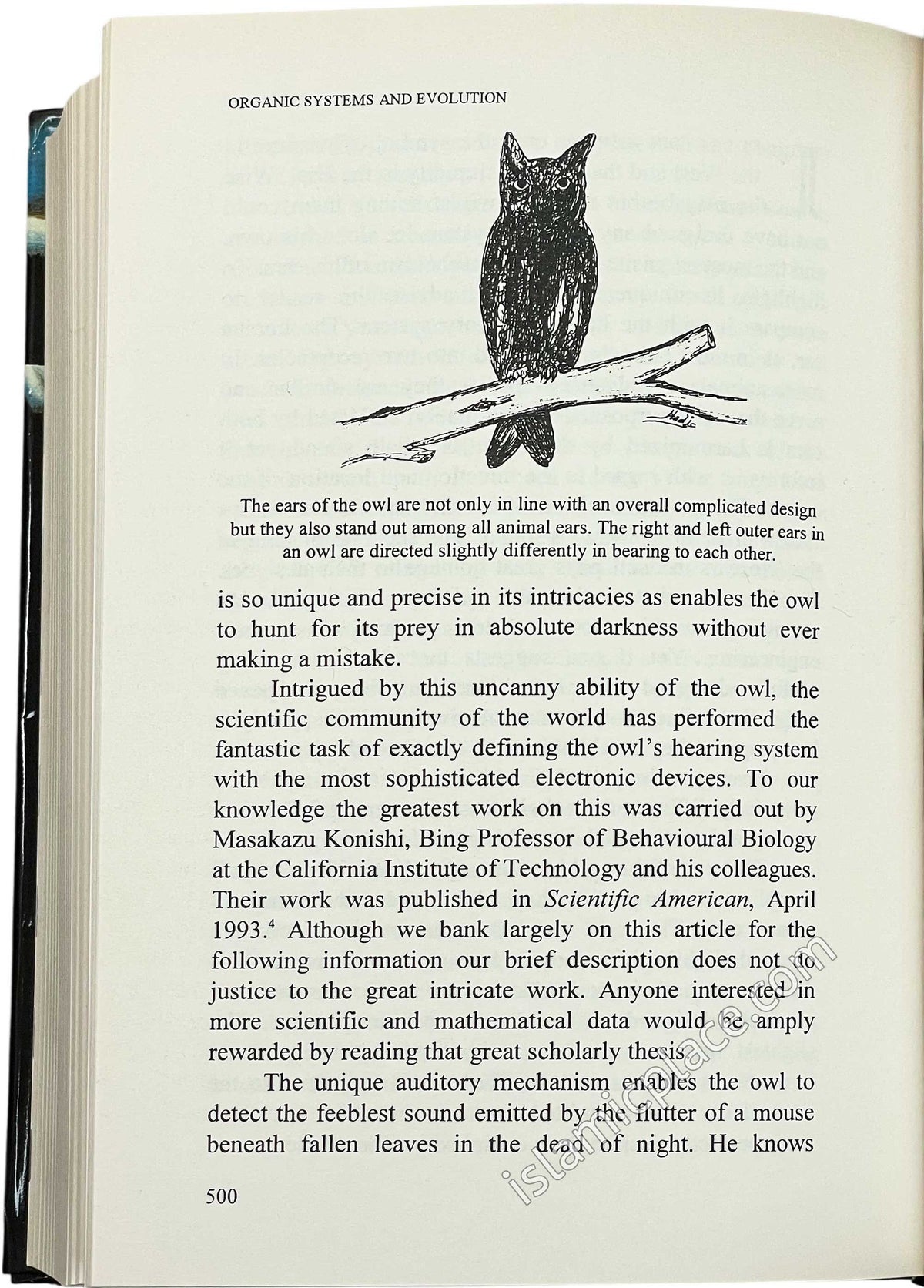 Revelation, Rationality, Knowledge & Truth