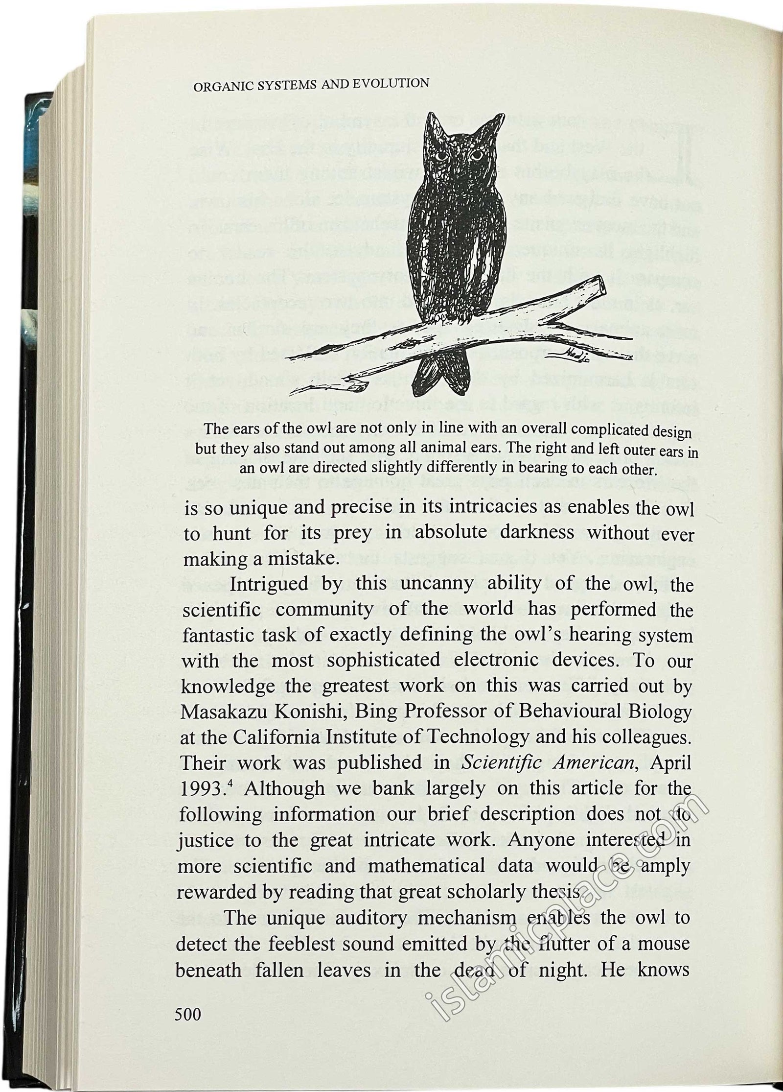 Revelation, Rationality, Knowledge & Truth