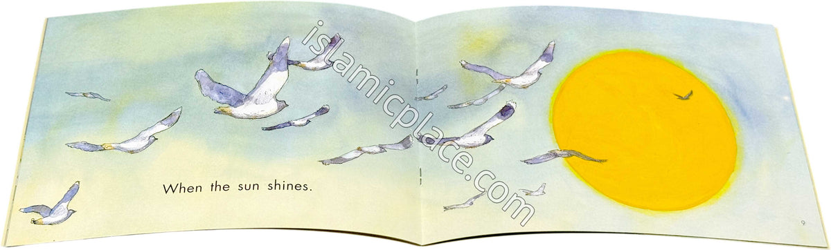 I See Allah Everywhere - Quran Stories for Little Believers