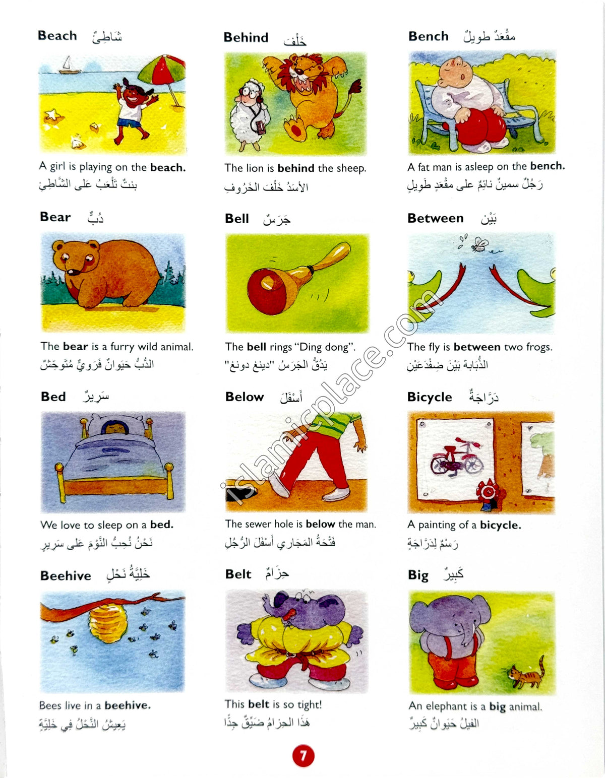 Goodword Arabic Picture Dictionary for Kids (Paperback)