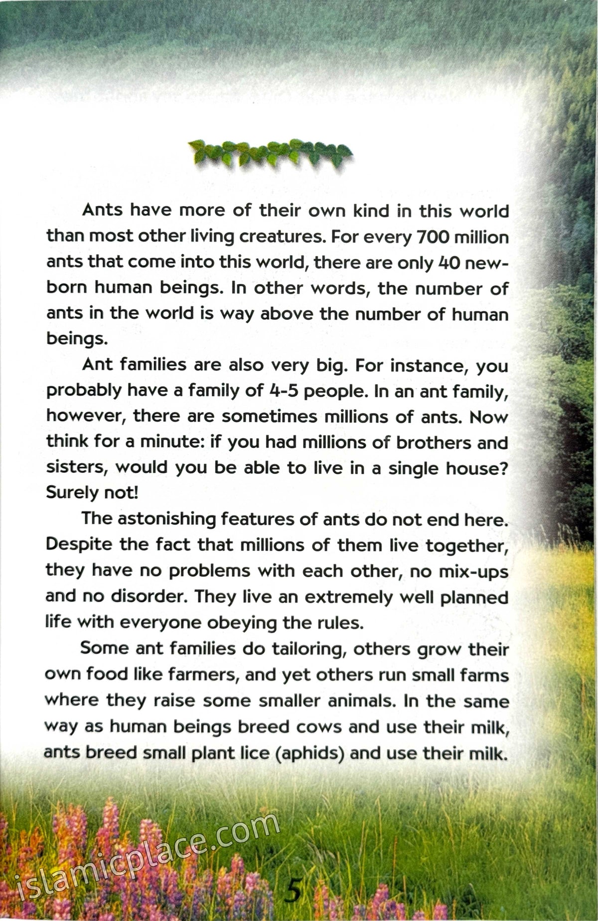 The Ants - The World of Our Little Friends