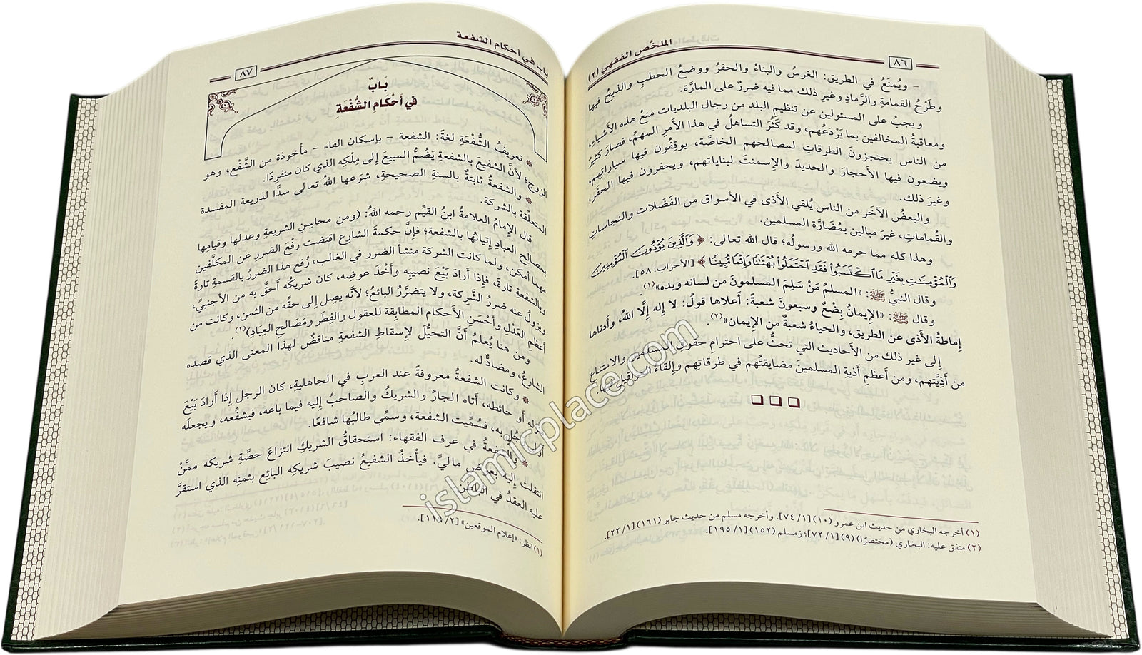 Arabic: Mulakhas Fiqh - Islamic Jurisprudence (2 volumes combined in 1)