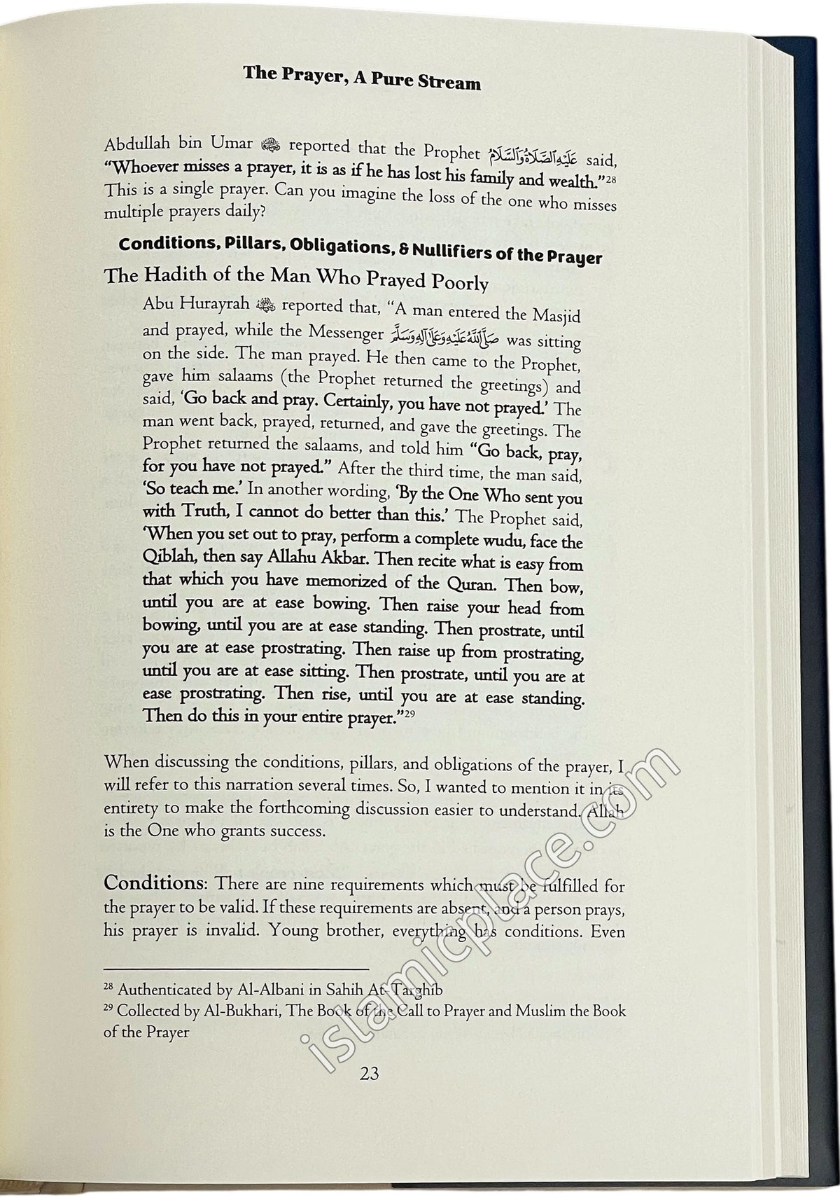 Becoming Strong & Trustworthy