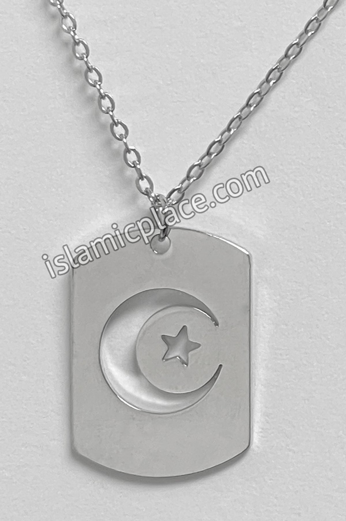 Silver Crescent Moon and Star Stainless Steel Necklace - jp29