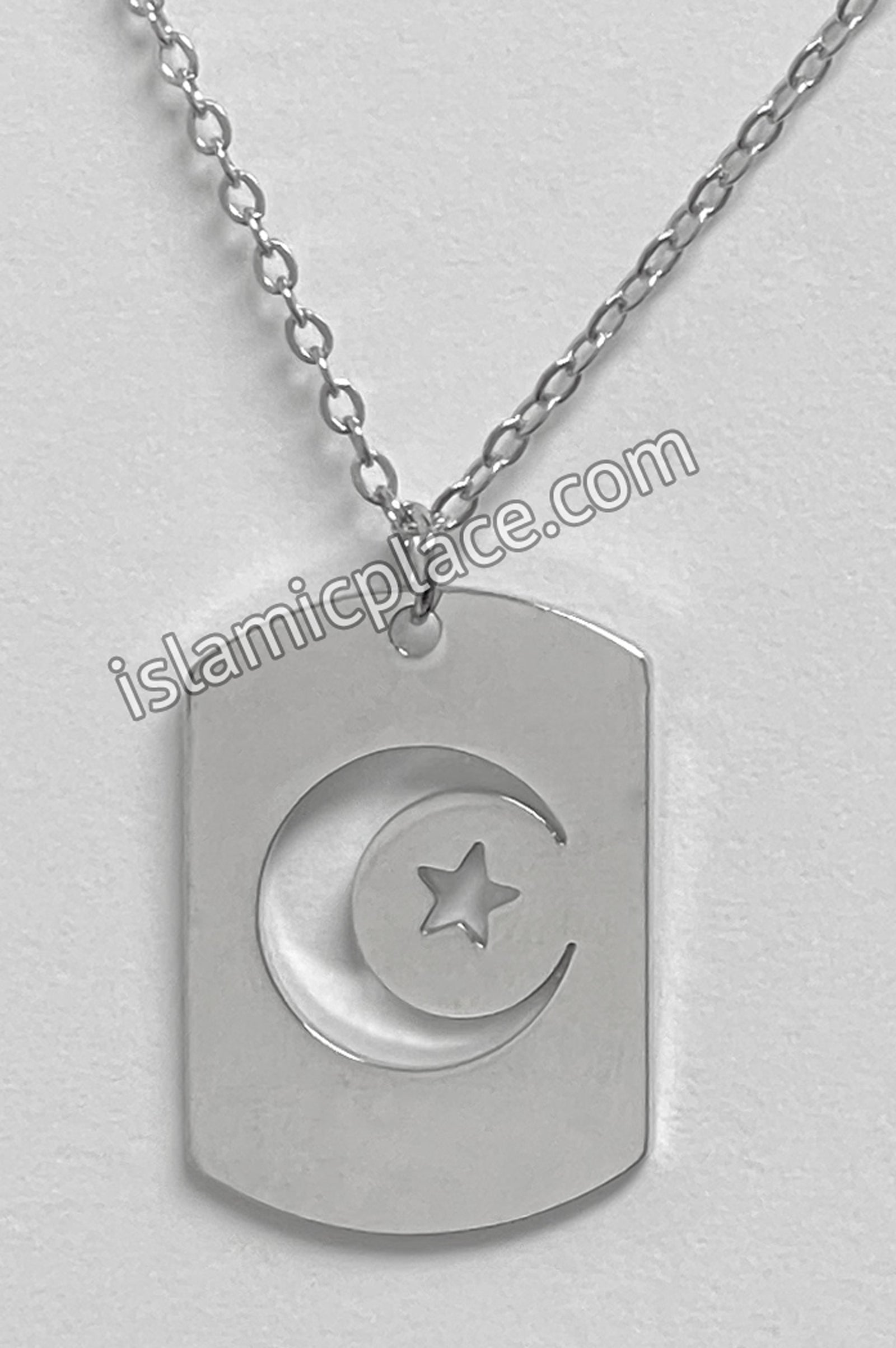 Silver Crescent Moon and Star Stainless Steel Necklace - jp29