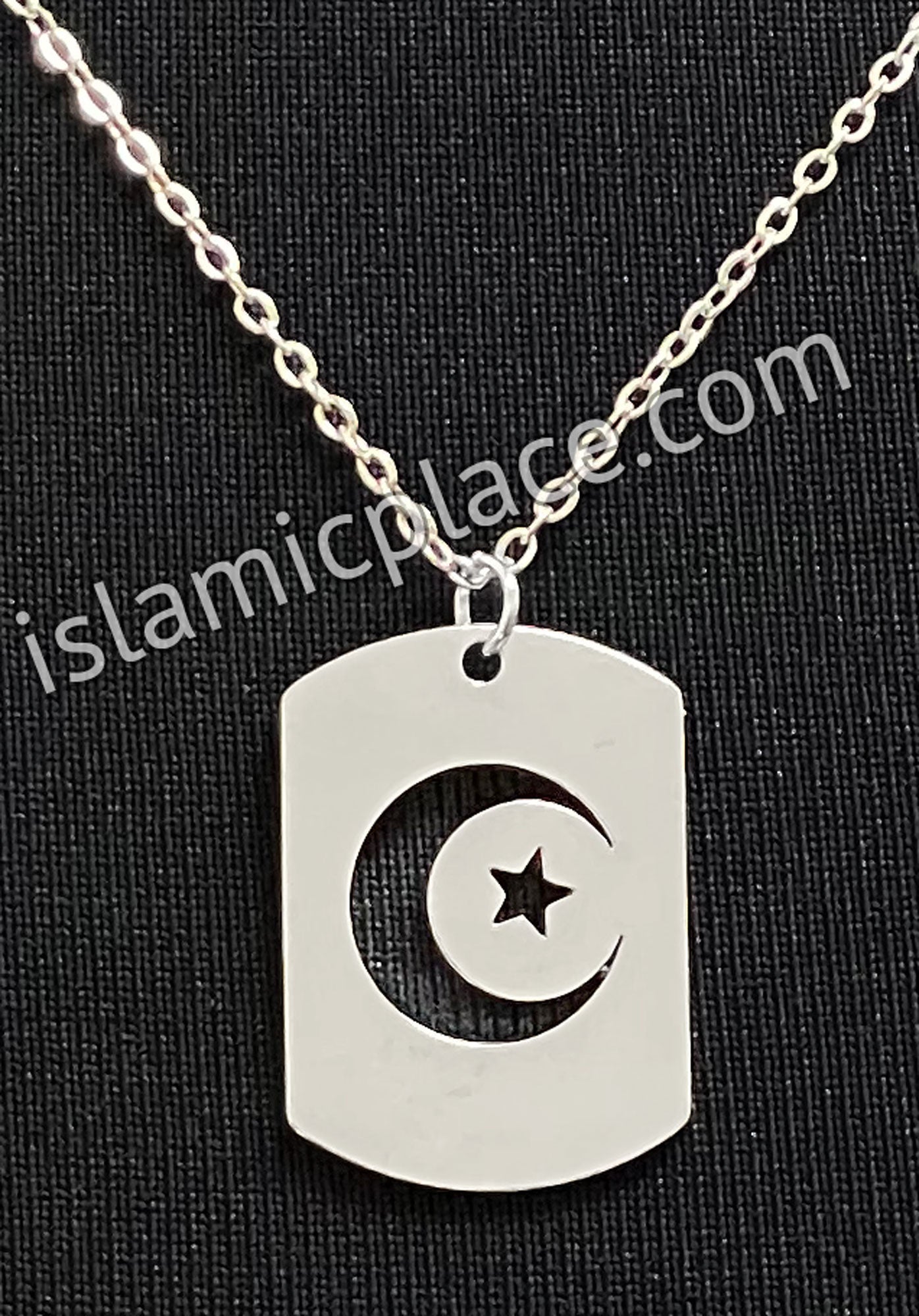Silver Crescent Moon and Star Stainless Steel Necklace - jp29