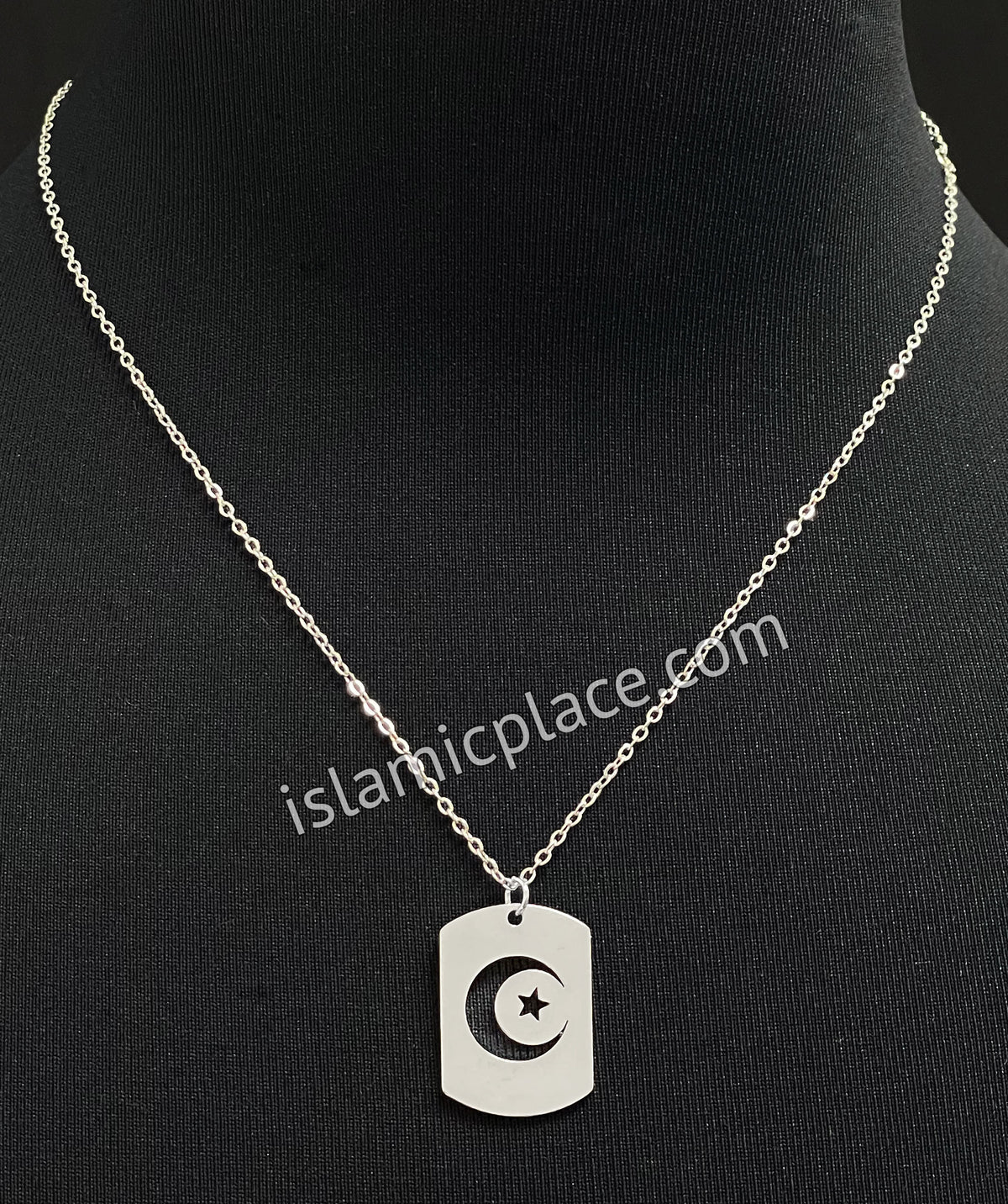 Silver Crescent Moon and Star Stainless Steel Necklace - jp29