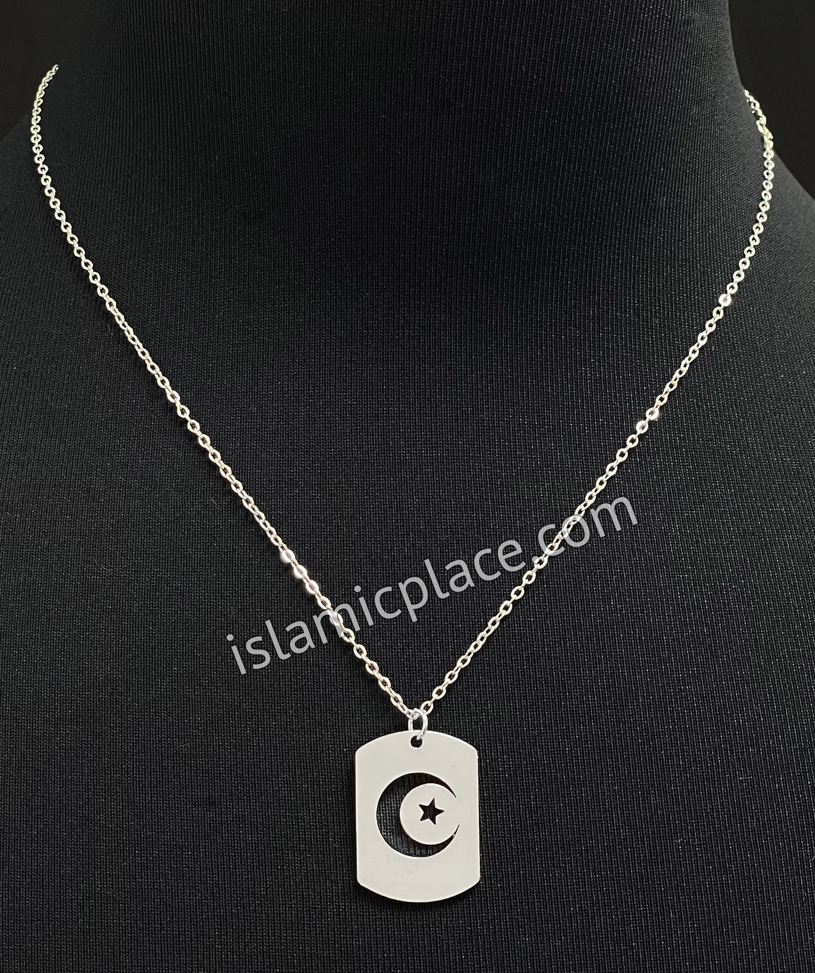 Silver Crescent Moon and Star Stainless Steel Necklace - jp29