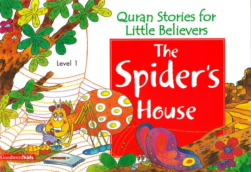 The Spider's House