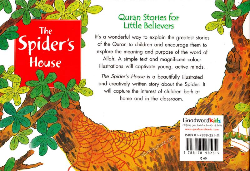 The Spider's House