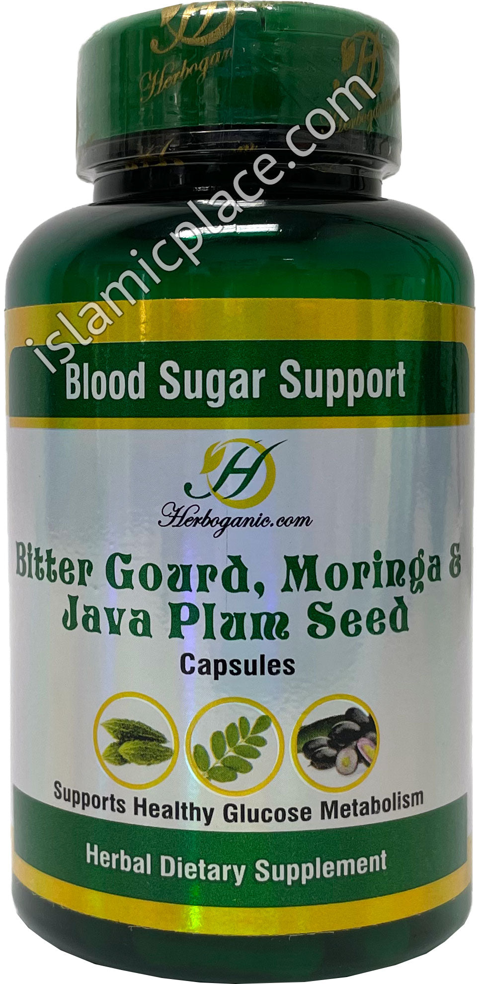 Blood Sugar Support - Bitter Gourd, Moringa & Java Plum Seed Capsules ...