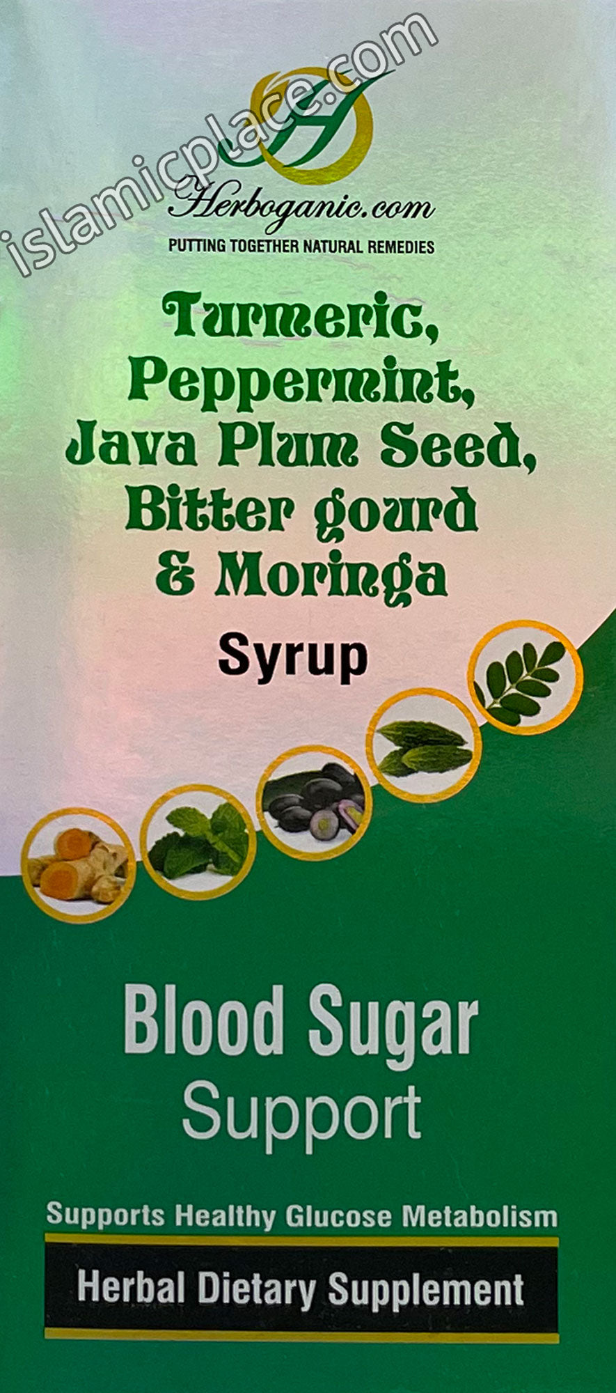 Blood Sugar Support Syrup - Turmeric, Peppermint, Java Plum Seed, Bitter gourd & Moringa