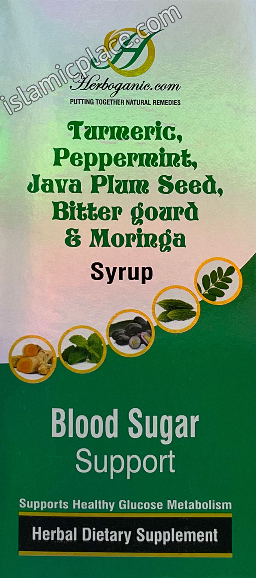 Blood Sugar Support Syrup - Turmeric, Peppermint, Java Plum Seed, Bitter gourd & Moringa
