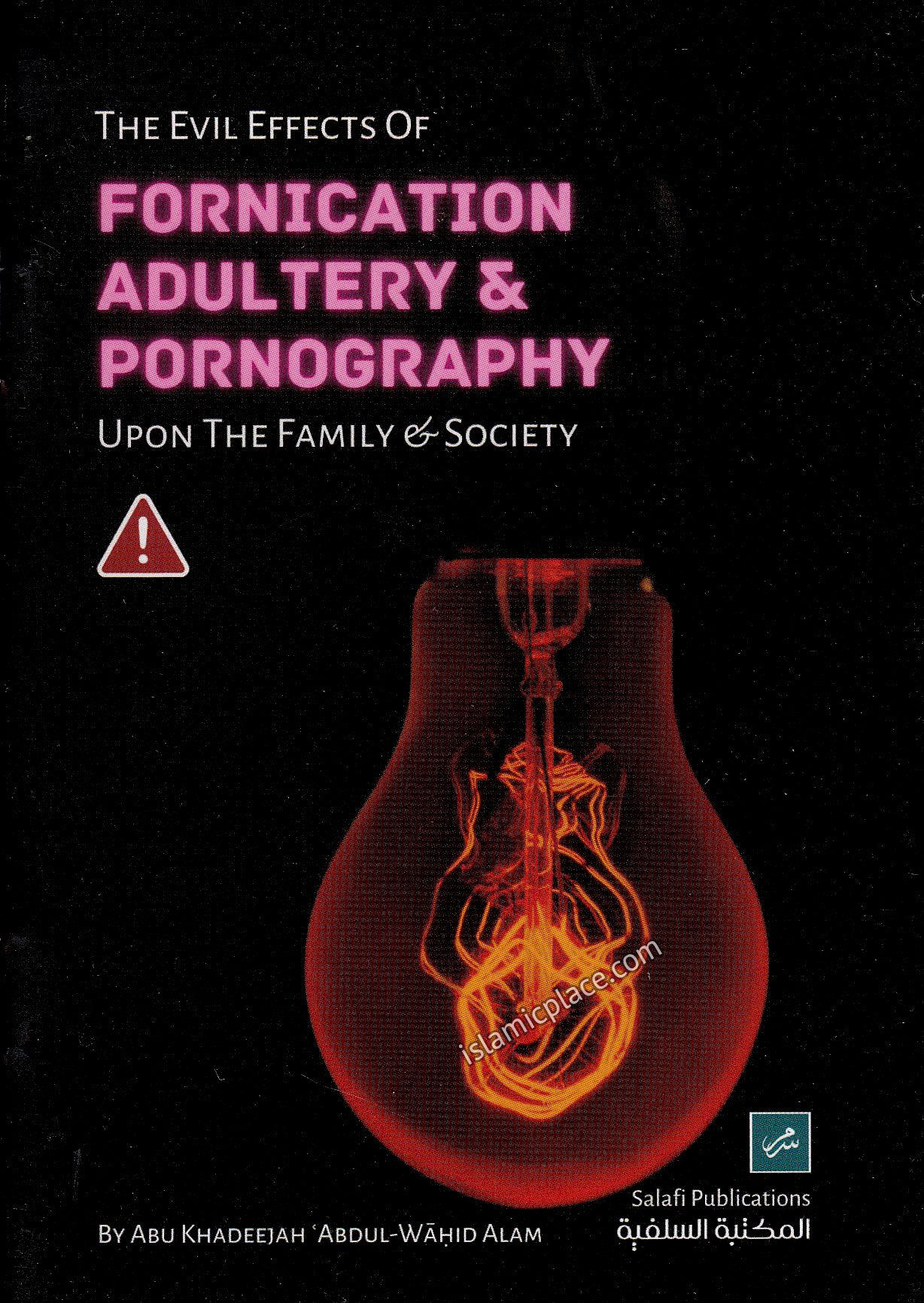 Phorication The Evil Effects of Fornication Adultery & Pornography Upon the Family ...
