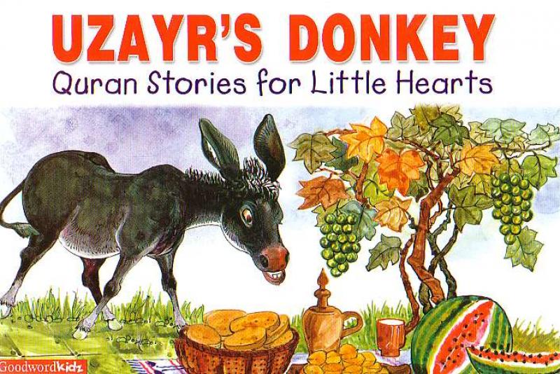 Uzayr’s Donkey