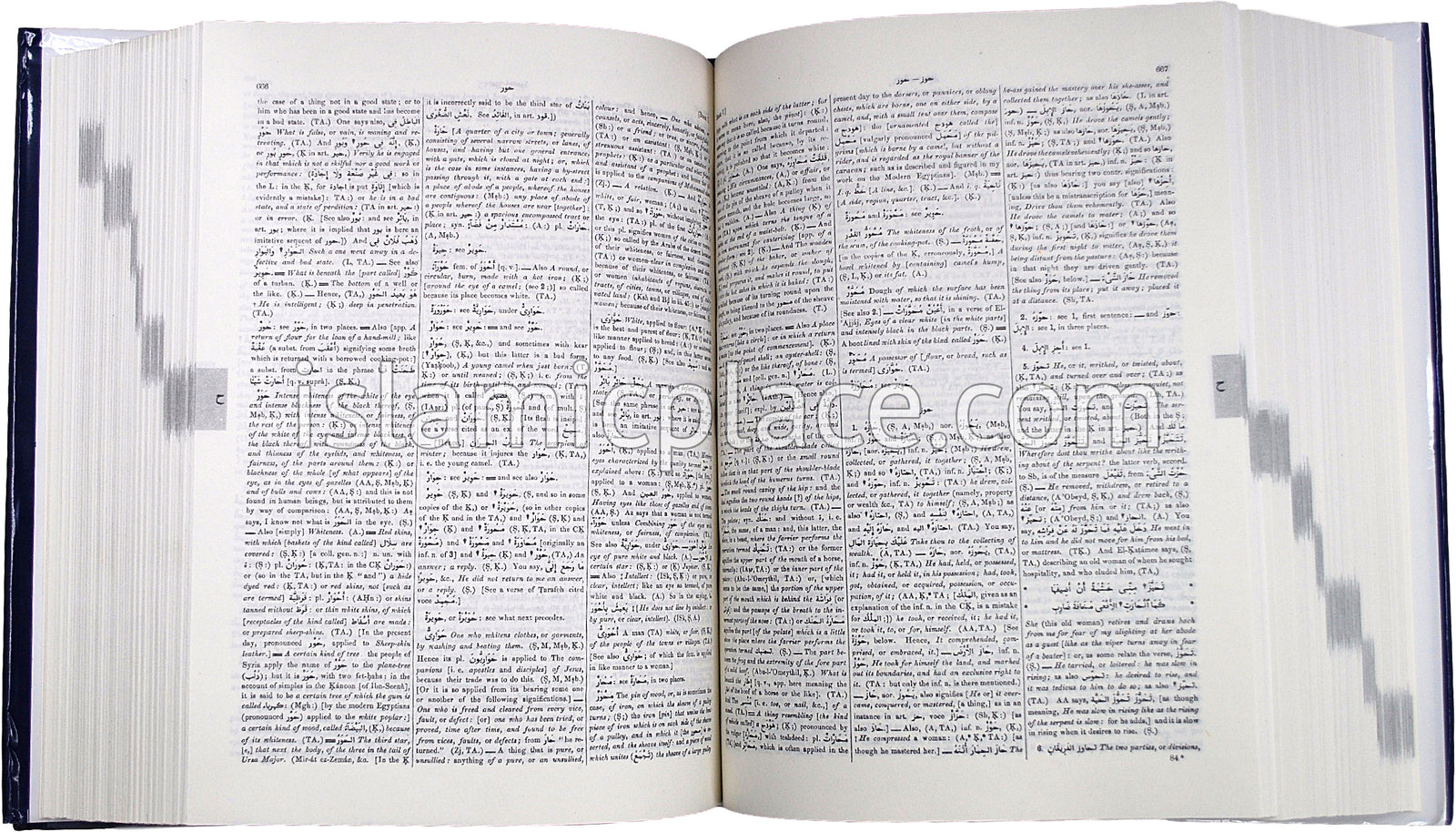 [2 vol set] An Arabic English Lexicon